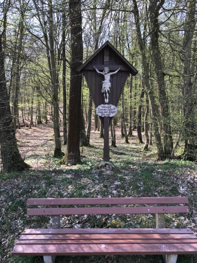 Pension-Ferienwohnung Liesbachtal Direkt Am Waldrand Bayerische Rhoen Schonau an der Brend Luaran gambar
