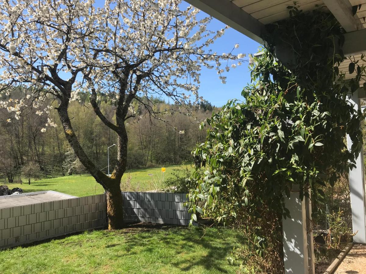 Pension-Ferienwohnung Liesbachtal Direkt Am Waldrand Bayerische Rhoen Schonau an der Brend Luaran gambar