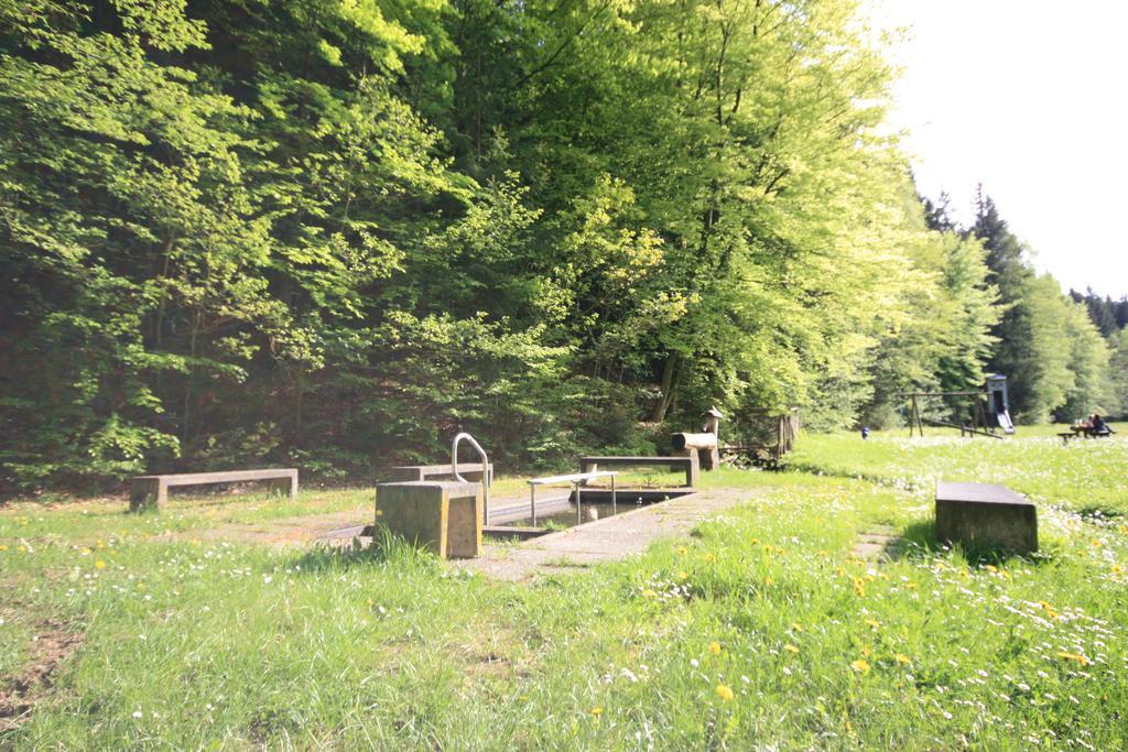 Pension-Ferienwohnung Liesbachtal Direkt Am Waldrand Bayerische Rhoen Schonau an der Brend Luaran gambar