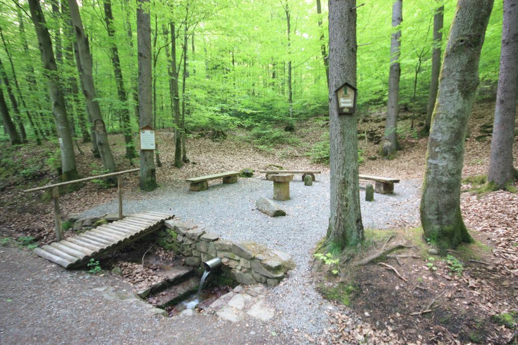 Pension-Ferienwohnung Liesbachtal Direkt Am Waldrand Bayerische Rhoen Schonau an der Brend Luaran gambar